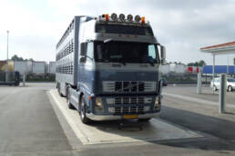 Fahrzeugwaage für Straßenfahrzeuge, auf der ein LKW steht und gewogen wird.